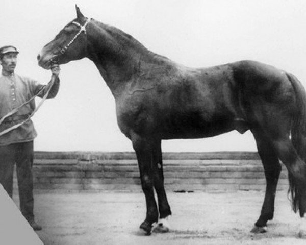 stallion Giljdeets (RU) (Russian Trotter, 1919, from Gay Bingen (US))