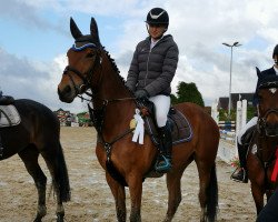 jumper Isabella Mail (KWPN (Royal Dutch Sporthorse), 2013, from Freeman 68)