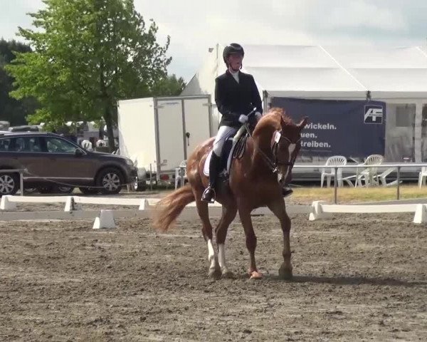 Reitturnier Heinsberg 2017