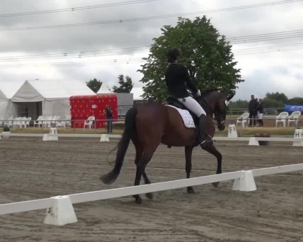 Reitturnier Heinsberg 2017