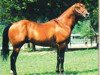 Deckhengst Podoco (Quarter Horse, 1978, von Doc Bar)