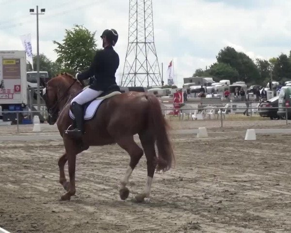 Reitturnier Heinsberg 2017