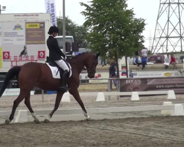 Reitturnier Heinsberg 2017