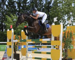 Springpferd Malaika Von Avalon CH (Schweizer Warmblut, 2009, von Milor Landais)