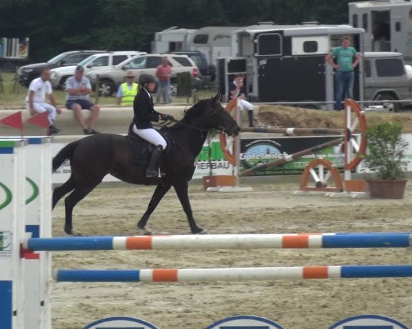 Reitturnier Heinsberg 2017