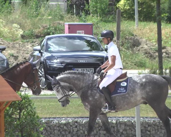 Reitturnier Ingolstadt-Hagau 2017