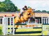 jumper Elano 30 (Hanoverian, 2004, from Escudo I)