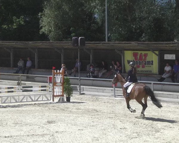 Reitturnier Ingolstadt-Hagau 2017