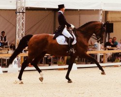 dressage horse Number One 21 (Westphalian, 2003, from Numero Uno)