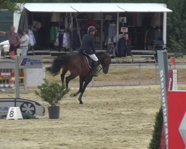 Reitturnier Heinsberg 2017