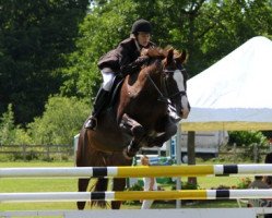 broodmare Lacy (Mecklenburg, 1998, from Ladinor)