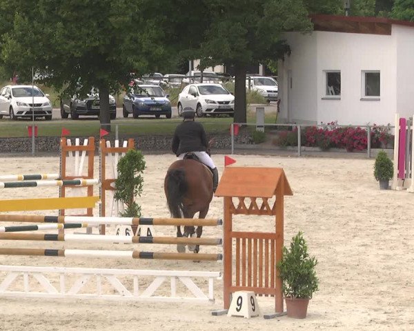 Reitturnier Ingolstadt-Hagau 2017