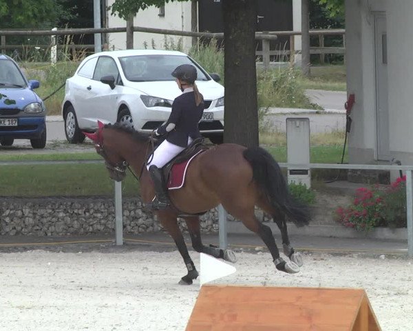 Reitturnier Ingolstadt-Hagau 2017