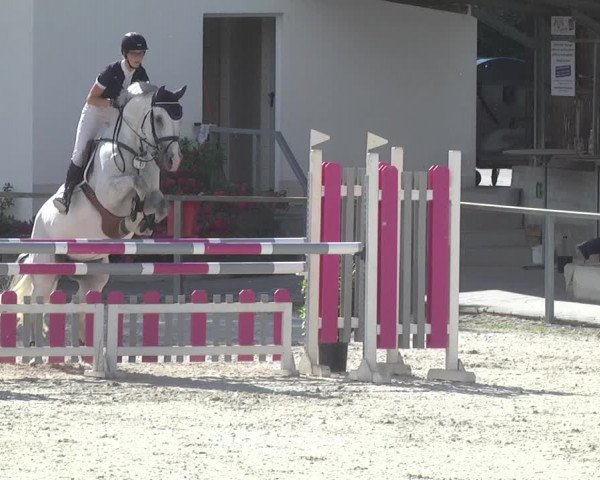 Reitturnier Ingolstadt-Hagau 2017