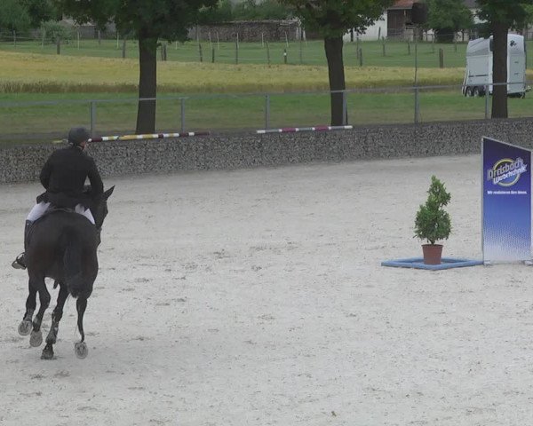 Reitturnier Ingolstadt-Hagau 2017