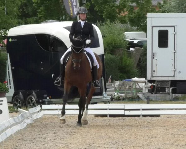 Reitturnier Ingolstadt-Hagau 2017