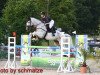 jumper Quincy 157 (German Sport Horse, 2005, from Quaterman I)