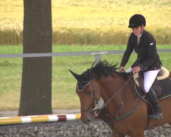 Reitturnier Ingolstadt-Hagau 2017