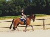 dressage horse Zoe Grace (Hanoverian, 2013, from Zack)