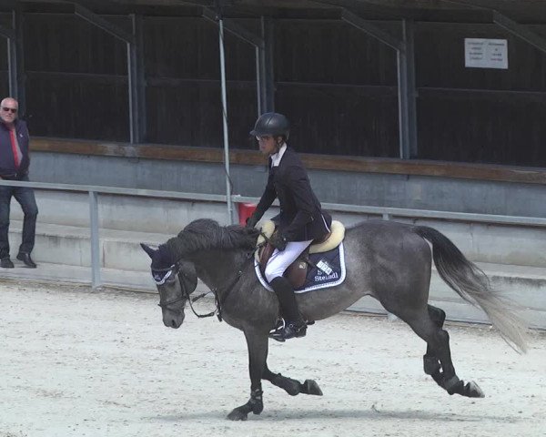 Reitturnier Ingolstadt-Hagau 2017