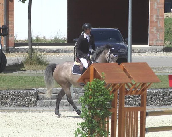 Reitturnier Ingolstadt-Hagau 2017