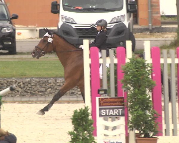 Reitturnier Ingolstadt-Hagau 2017