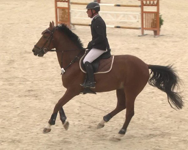 Reitturnier Ingolstadt-Hagau 2017