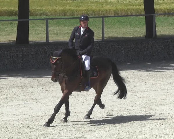 Reitturnier Ingolstadt-Hagau 2017