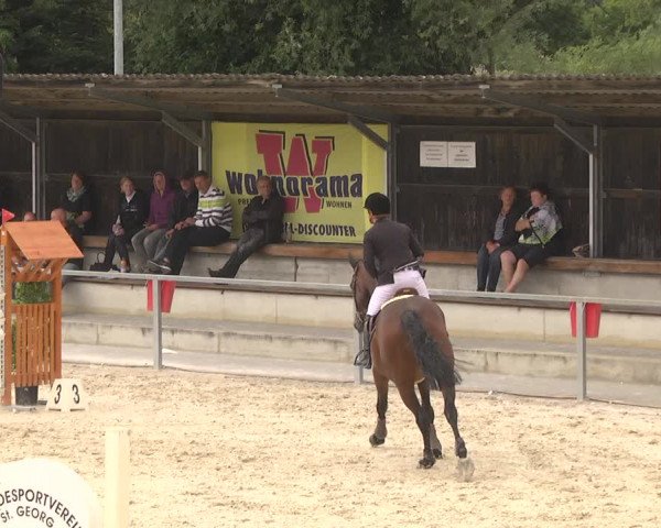 Reitturnier Ingolstadt-Hagau 2017