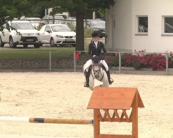 Reitturnier Ingolstadt-Hagau 2017
