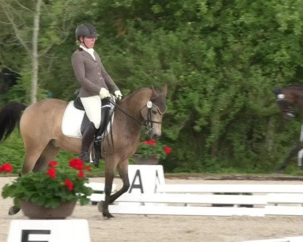 Reitturnier Ingolstadt-Hagau 2017