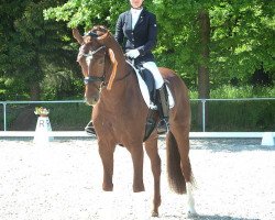 dressage horse Faberge Rouge (Oldenburg, 2014, from For Romance I)