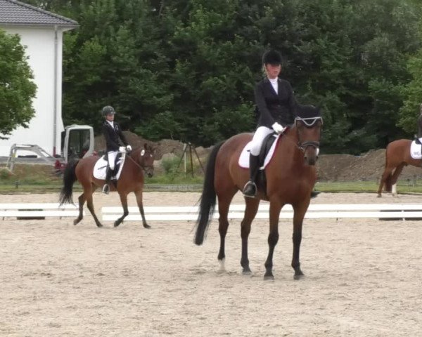 Reitturnier Ingolstadt-Hagau 2017