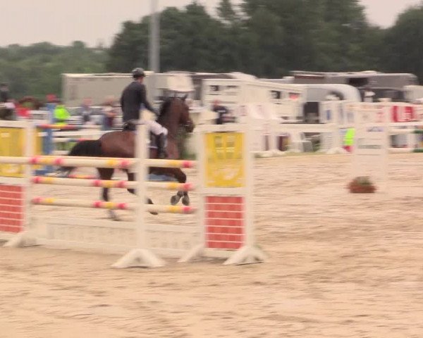 Reitturnier Melle-Ostenfelde 2017