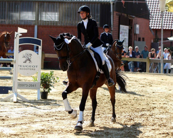 dressage horse Yakari 39 (Swedish Warmblood, 2007, from Remiro HM)