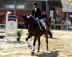 dressage horse Yakari 39 (Swedish Warmblood, 2007, from Remiro HM)