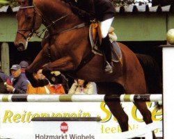 broodmare Abby Lou W (Westphalian, 1999, from Ars Vivendi)