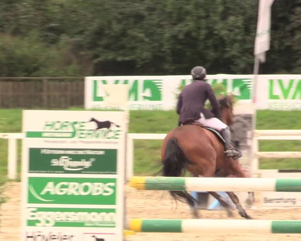 Reitturnier Melle-Ostenfelde 2017