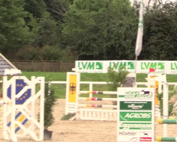 Reitturnier Melle-Ostenfelde 2017