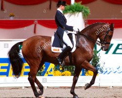 horse Olympic Dondolo 094 (Oldenburg, 1984, from Don Carlo)