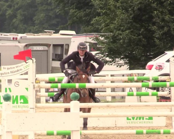 Reitturnier Melle-Ostenfelde 2017