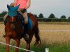 broodmare Dorry-Doo (German Riding Pony, 2008, from FS Don't Worry)