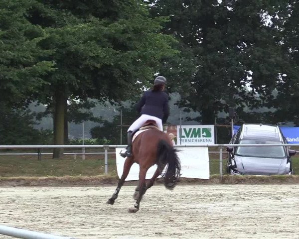Reitturnier Coesfeld/Lette 2017