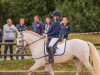 dressage horse Delta du Clapas (Camargue horse, 2013, from Kakao du Mas)