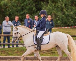 dressage horse Delta du Clapas (Camargue horse, 2013, from Kakao du Mas)