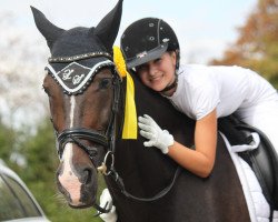 dressage horse Zironetje (KWPN (Royal Dutch Sporthorse), 2003, from Rhodium)