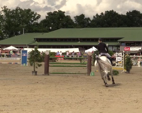 Reitturnier Coesfeld/Lette 2017