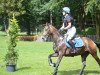 jumper Collin The Champ N (German Riding Pony, 2007, from FS Champion de Luxe)