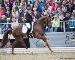 dressage horse Fine Romance (Oldenburger, 2014, from For Romance I)