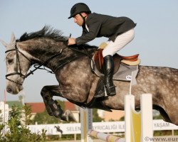 horse Witte van de Helle (Belgian Warmblood, 1999, from Caesar van de Helle)